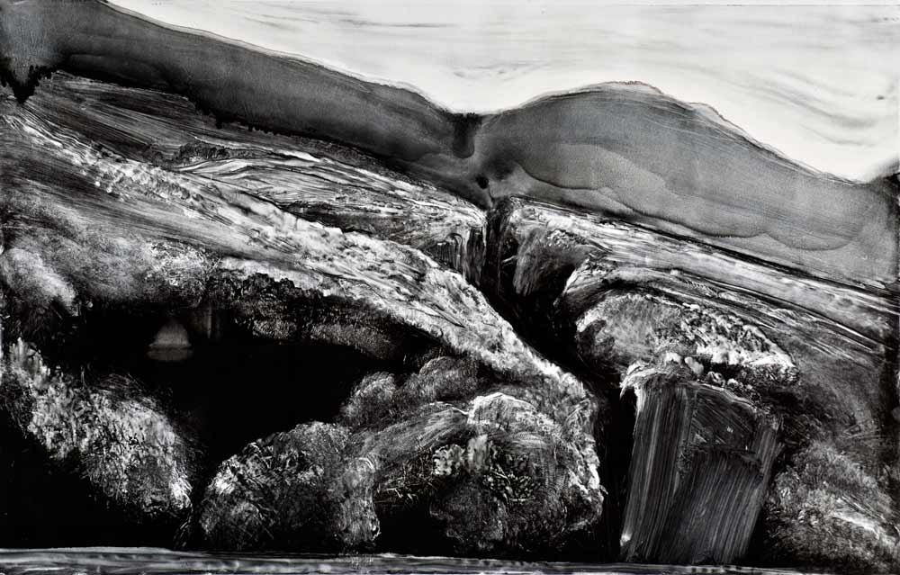 Coasts of New Zealand