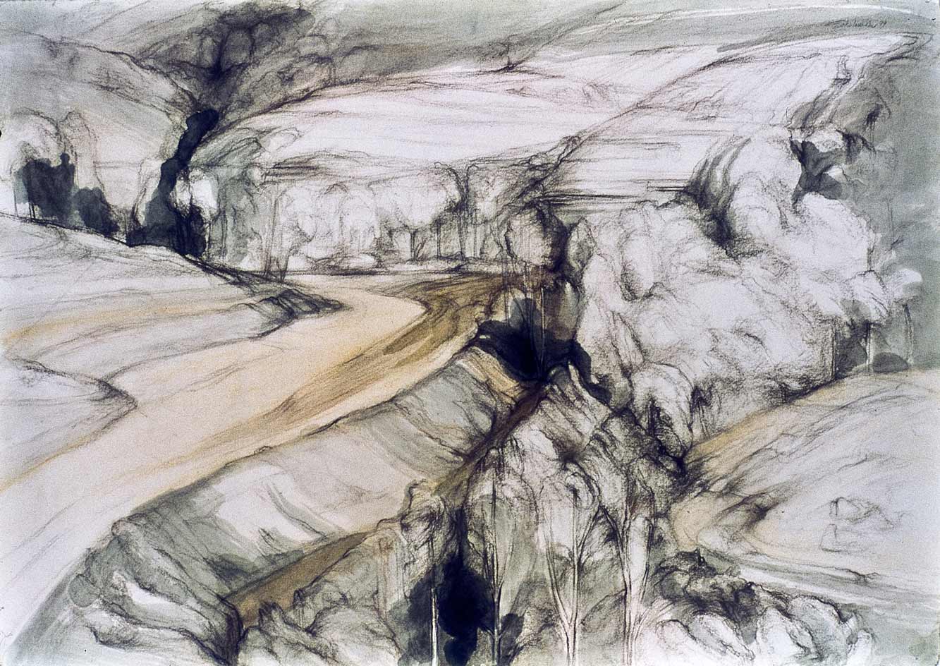 Plowed Field Near Cordona